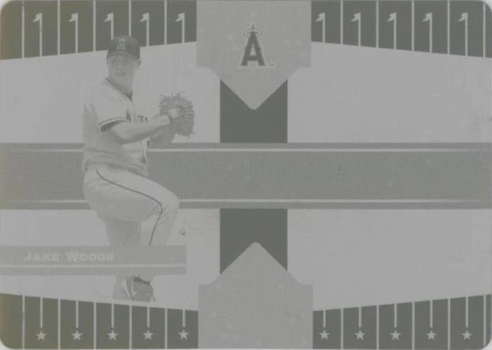 Printing Plate Black