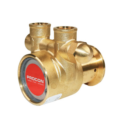PROCON 102A100F11PA - 3/8'' NPT  Brass Rotary Vane Pump Series 2