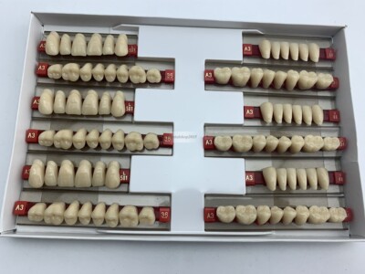 upper lower Acrylic Resin Teeth 2-layer denture teeth dental 501 color A3