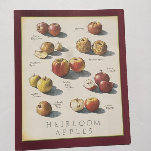 Cook's Illustrated Back Cover ONLY Art Print John Burgoyne Heirloom