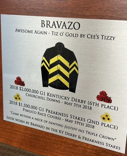 GENUINE RACE-WORN "BRAVAZO" ‘17 PREAKNESS SHOE W/COA - Trained By D. Wayne Lukas - Picture 5 of 6