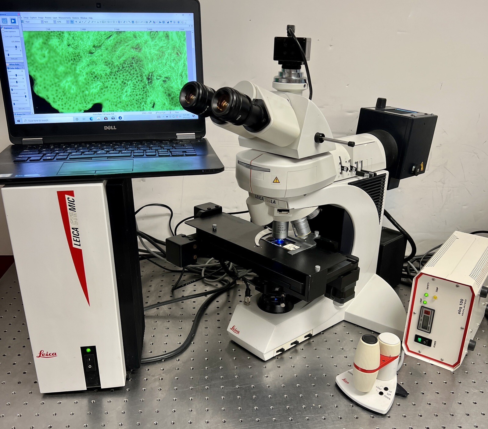Leica DM DMLA Microscope Full Motorized Fluorescence+ Camera | eBay