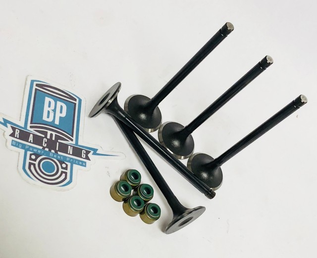 Rhino Grizzly 660 Valves Stainless Steel Intake Exhaust 30m 32m