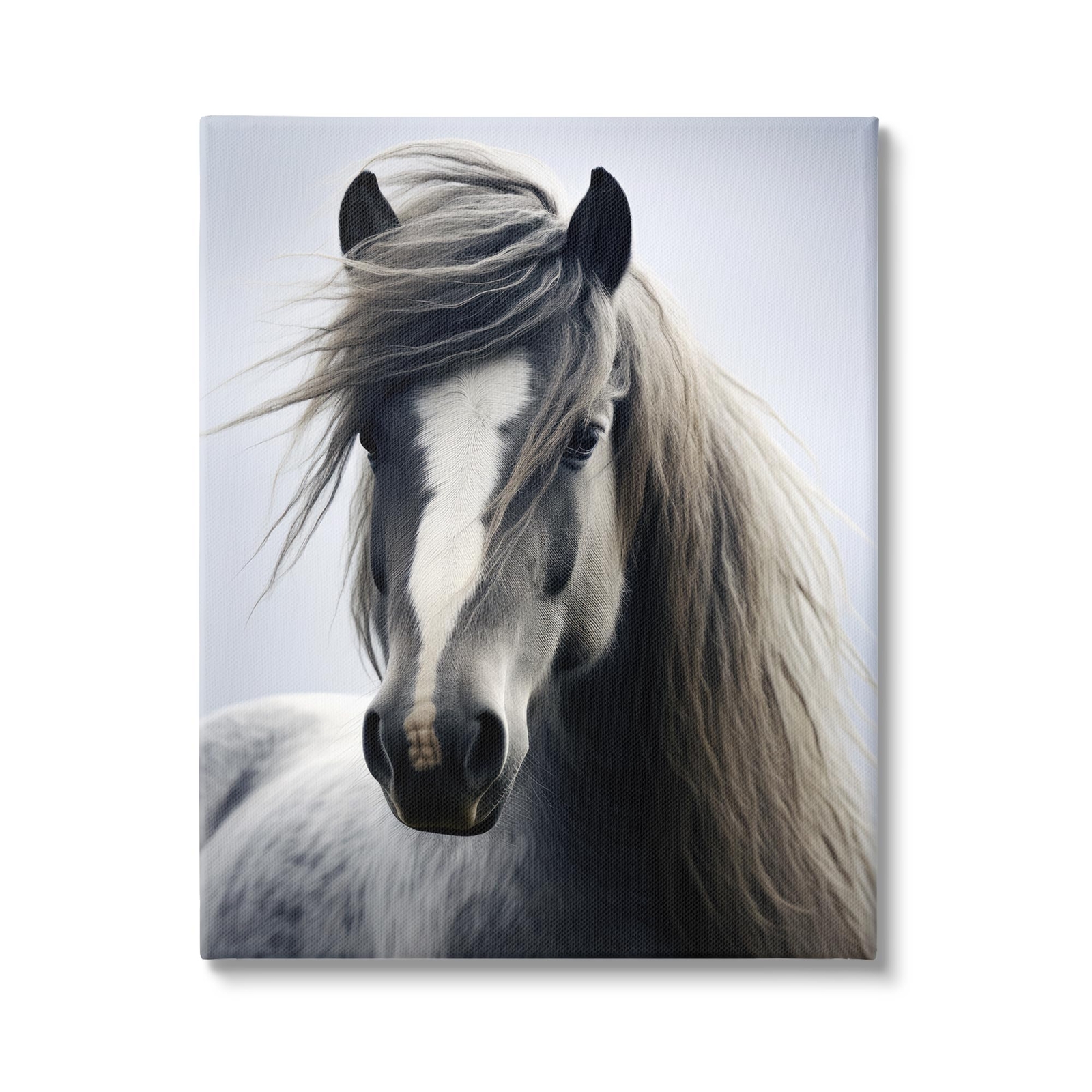 Windblown Horse Mane Canvas Wall Art by Ray Powers