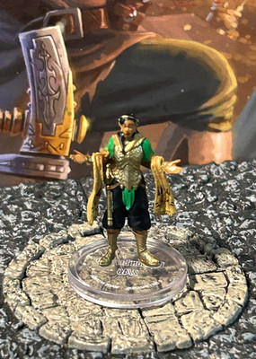 Dragon Blessed D&D Miniature Dungeons Dragons Fizban's Treasury elf druid wizard