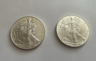 2 Stück (!) Münzen USA Silver Eagle 1 Dollar 2008 1 Oz Silber 999