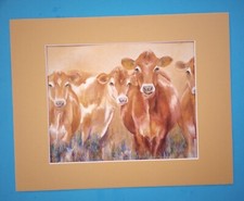 11" x 14" Matted 8" x 10" Print of Picture of a Herd of Brown & White Dairy Cows