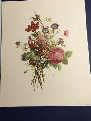 【CORBER Bouquet de Pavots】Paris 肉筆画 CORBER Bouquet de Pavots】Paris 肉筆画