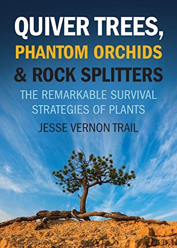 Quiver Trees, Phantom Orchids and Rock Splitter. Trail>|
