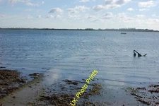 Photo 6x4 Goldhanger Creek Osea Island Looking across the creek from the  c2015