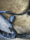Picture 5 of 8