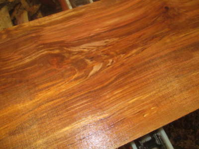 LARGE BIRCH BOWL BLANK TURNING BLOCK LUMBER WOOD CARVE 10'' X 10'' X 3''