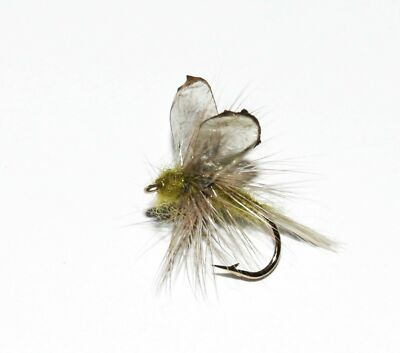 Mayfly Crippled Olive Dun Trockenfliege Größe & Menge wählbar Forellen Fliegenfischen