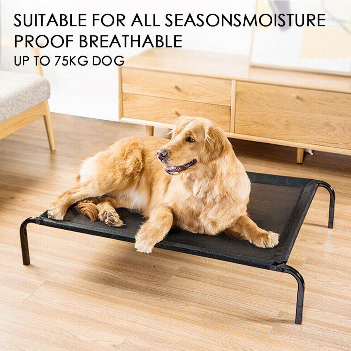 Heavy Duty Pet Raised Bed Elevated Trampoline Hammock Cat Dog Raised