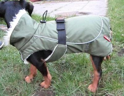 WAUWUF Hunde Winter Schneemantel Alle Rassen Olivgrün warme Decke klkxde Ausstellungsst