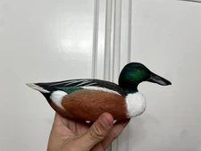 Shoveler Decoy 1985 by Dan Brown