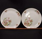 Z.S. & Co. Zeh Scherzer Bavaria Set of 2 Chargers Plates 12" Indian Tree w/Gold