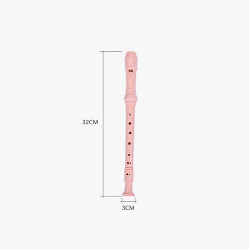 8-hole Recorder Music Soprano Descant Cleaning Rod Instrument with Colorful - Picture 12 of 14