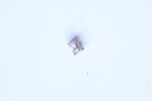 Bild 13 von 21