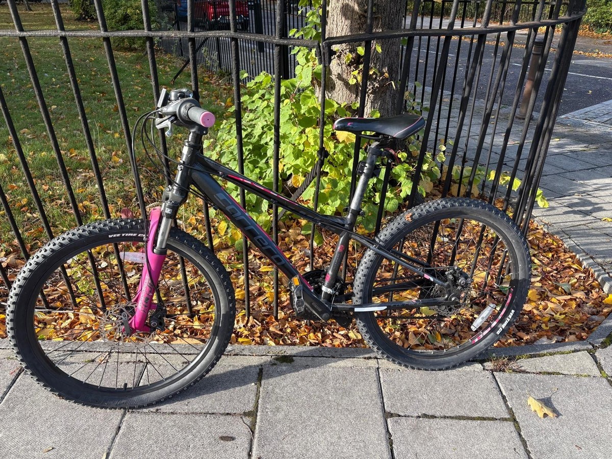 Carrera Luna Junior Mountain Bike Carrera Luna Carrera Bikes For