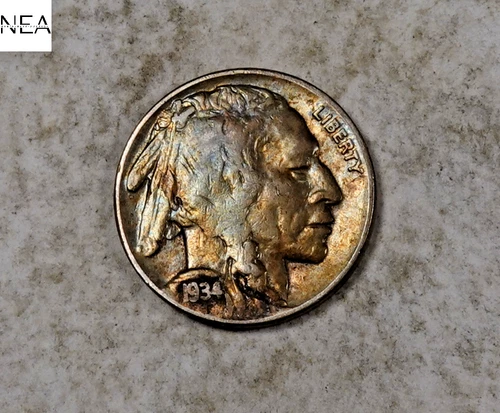 1934 Buffalo Nickel ~ Rainbow Toned ~ ZB304