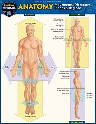 Anatomy - Directions, Planes, Movements and Regions : A QuickStudy Laminated ...