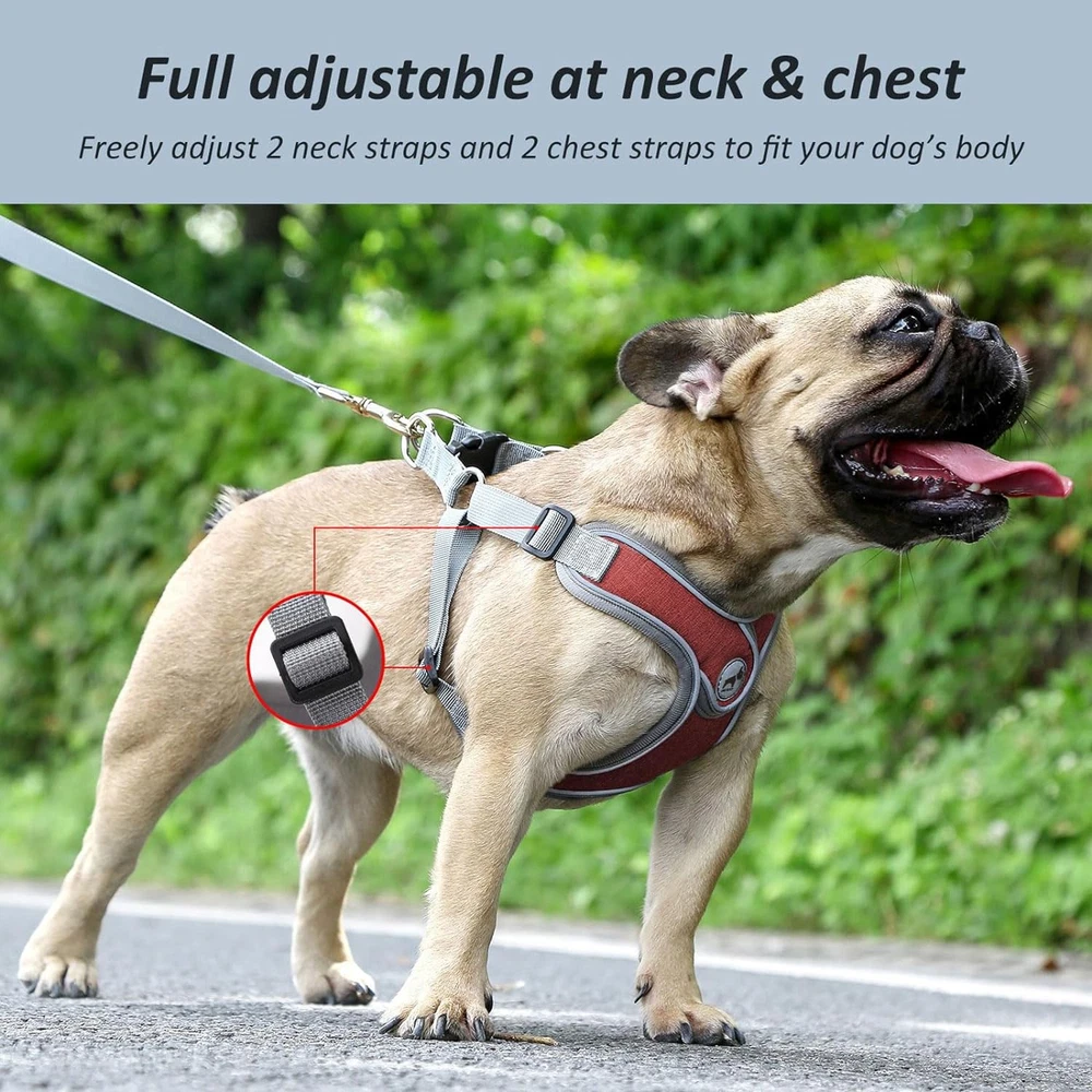 Dog Harness with Leash Set, No Pull Adjustable Step in Dog Collars Harness with