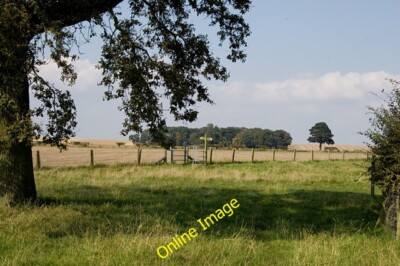 Photo 6x4 Bracken field, (E Yorks) Cawkeld Corner of a field near the ham c2014