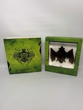 TOY Bat In Resin Block Bat Oddities Weird Strange Odd Creepy Bizarre Mystical