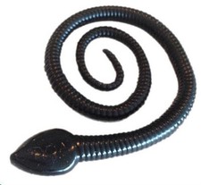 DOA CAL-SNK-406 Sna-Koil 12" Snake Color Arkansas Glow 6CT