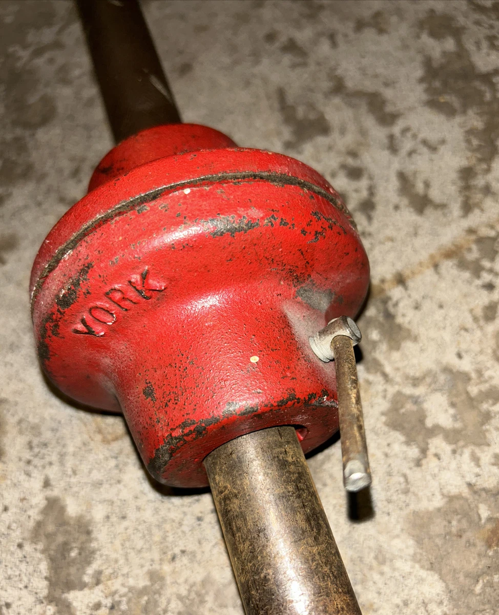 York 5ft barbell sale