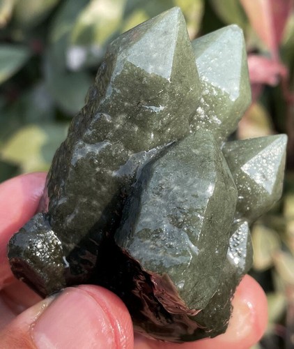102g ¡¡¡EXCELENTE!!! Nuevo hallazgo raro NATURAL racimos de cristal verde espécimen ie2117 - Imagen 8 de 12