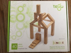 tegu building blocks