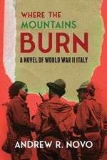 Where the Mountains Burn Paperback by Andrew R Novo