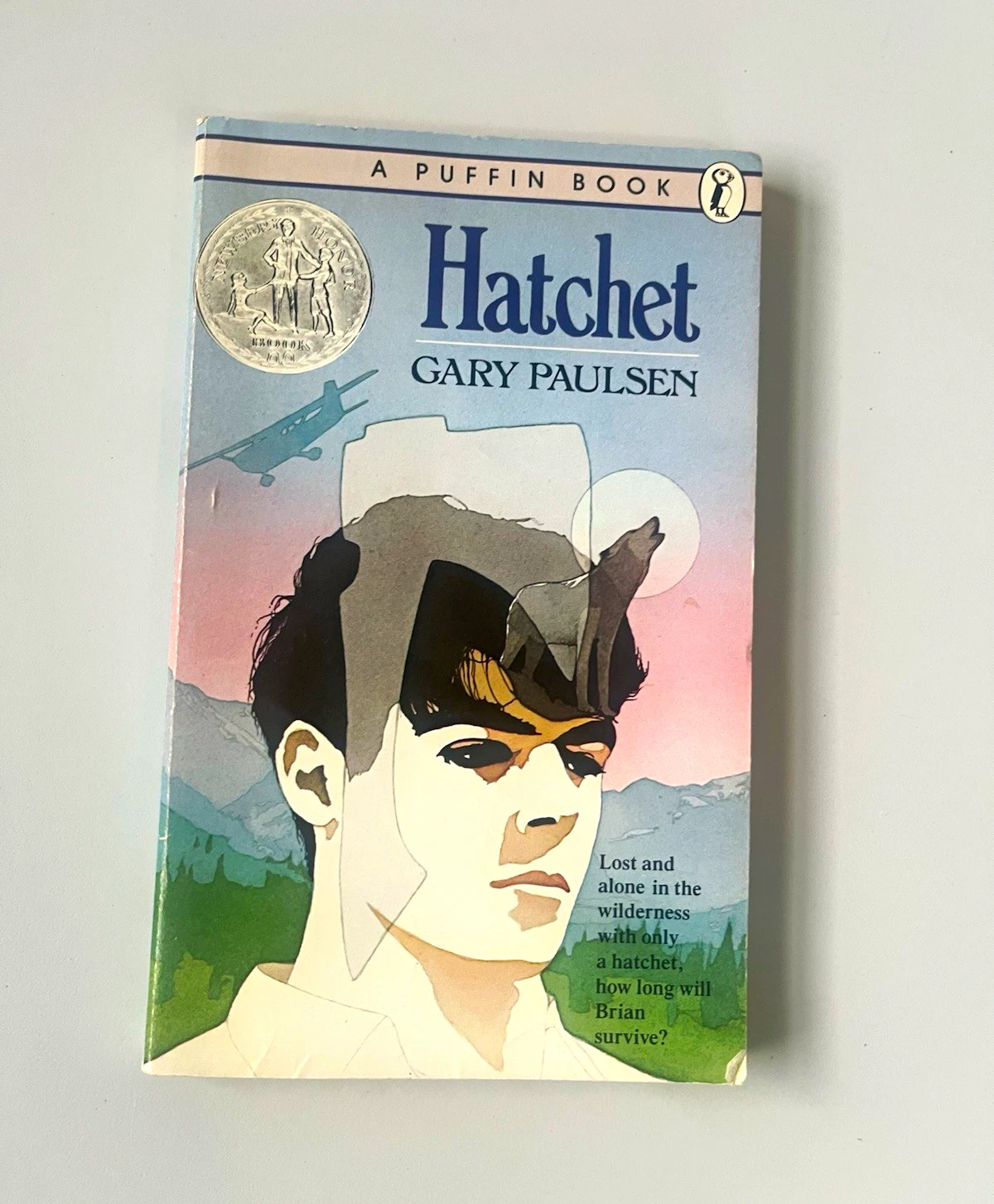 Gary Paulsen Hatchet Paperback A Puffin Book 1987 Bradbury Press Ex-Library