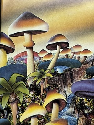 1990 IMAGINING YELLOW SUNS PSYCHEDELIC ROCK ORANGE CALIFORNIA