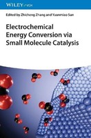 Electrochemical Energy Conversion Via Small Molecule Catalysis, Yuanmiao Sun