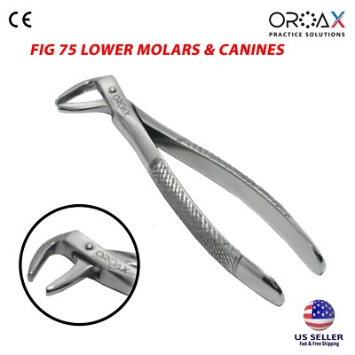 Fig 75 Dental Surgical Forceps for Lower Molars & Canines Extraction