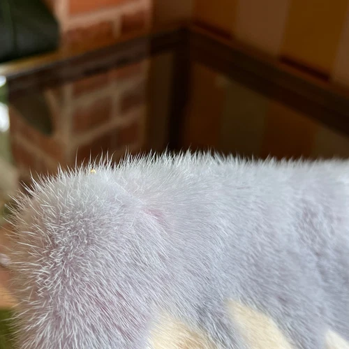 PRADA Lilac Mink Fur Tropical Clutch - Picture 10 of 10