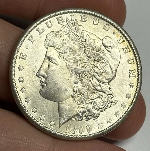 Mint State 1899-O Morgan Silver Dollar (original surfaces) U.S. $1 Coin Low MS