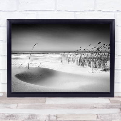 Orchestra Beach Reed Sand Horizon Water Surf Wind Wall Art Print