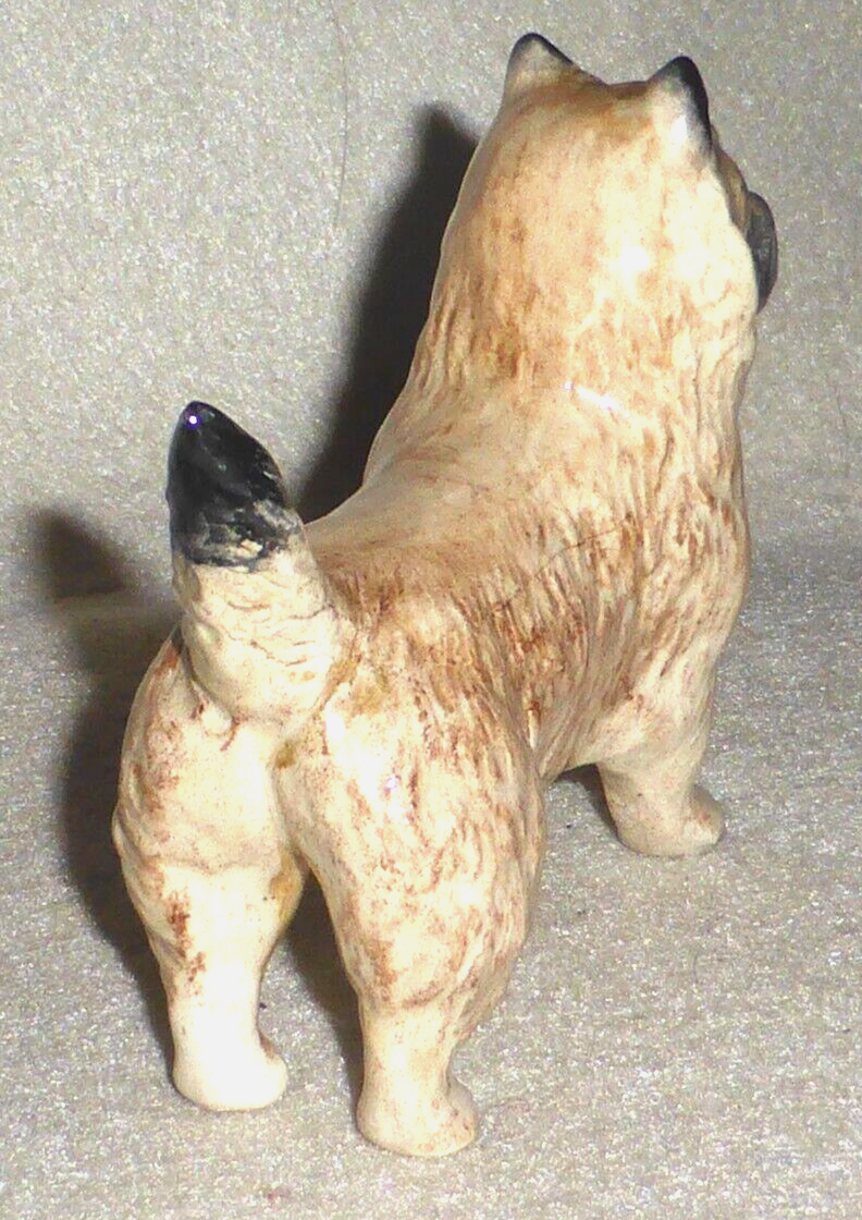 Picture 5 of 14