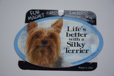 Life/'s better with a Silky Terrier 6/" x 4/" Oval Magnet Made in the USA