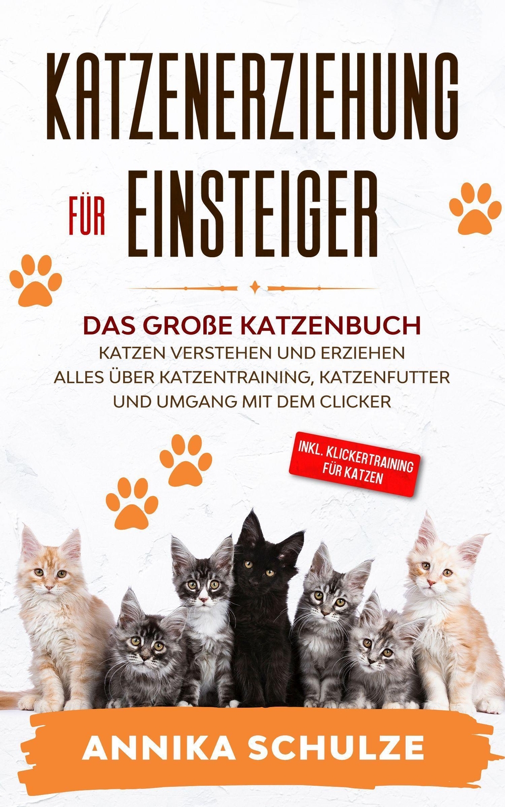 Katzenerziehung Für Einsteiger Annika Schulze