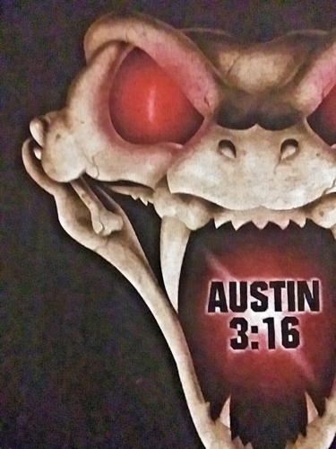 Rare VTG Stone Cold Steve Austin 3:16 Don’t Trust Anybody Snake 1998 T Shirt XL - Picture 18 of 24