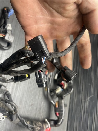 2020 Suzuki GSXR1000 Main electrical harness #10924 - Picture 13 of 24
