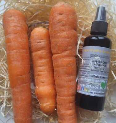 Karotten Bio Körperöl Gesicht natürliches Bräunungsöl mit Vitamin E handgemacht - 100ML