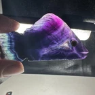 Natural Crystal Mineral Specimen.Fluorite.Hand-carved FISH.Statue.GIFT.BM