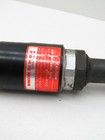 Foto 11 di 11