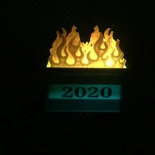 NEW GREEN 2020 Dumpster Fire Christmas Decoration Commemorative Set Holiday Gift
